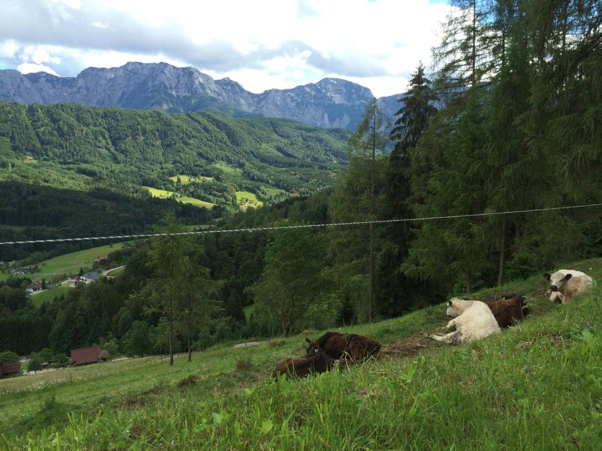 Kreitalm - Kraftplatz Im Salzkammergut Neukirchen  Ngoại thất bức ảnh