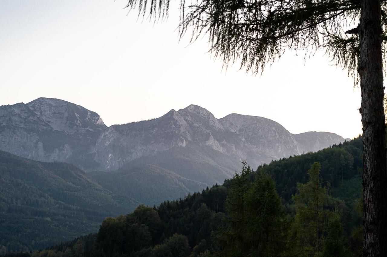 Kreitalm - Kraftplatz Im Salzkammergut Neukirchen  Ngoại thất bức ảnh